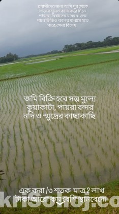 Cont.01610386131 জমি বিক্রি হবে  ১০ একর অনেক জমি খুবকম দামে